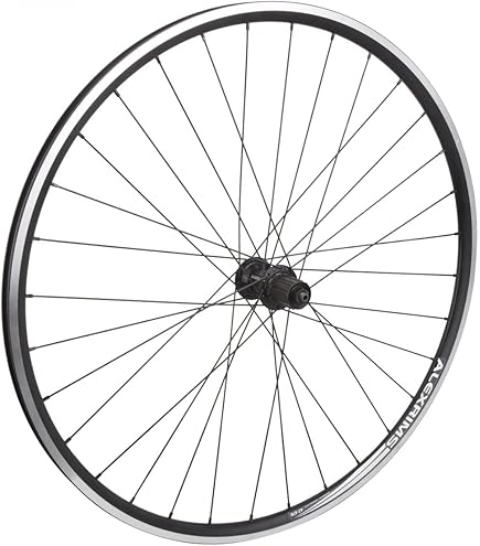 Amazon.com : WheelMaster 700c Front Wheel Alex ATD470 |12x100mm